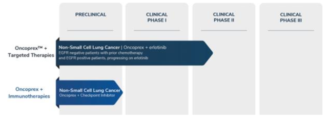 Per the recent 10-K, Oncoprex is the company's R&D pipeline thus far (Pg. 5):